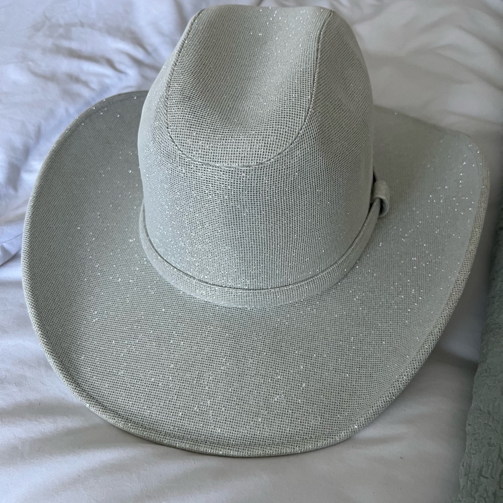 Sparkling Gray Cowboy Hat